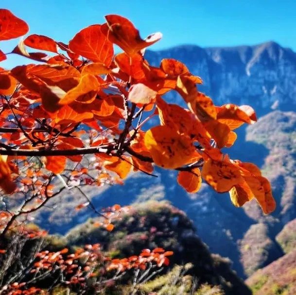 坡峰岭-药王谷徒步！红叶秘境 [周六、周日]
