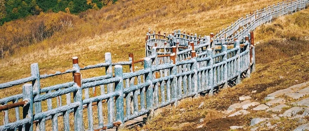 初级适度 | 11.09 周六 |  北灵山赏秋