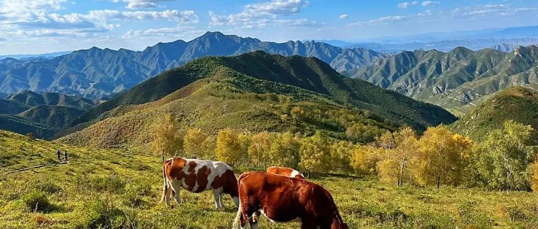 北灵山徒步！徒步天花板 [周六]