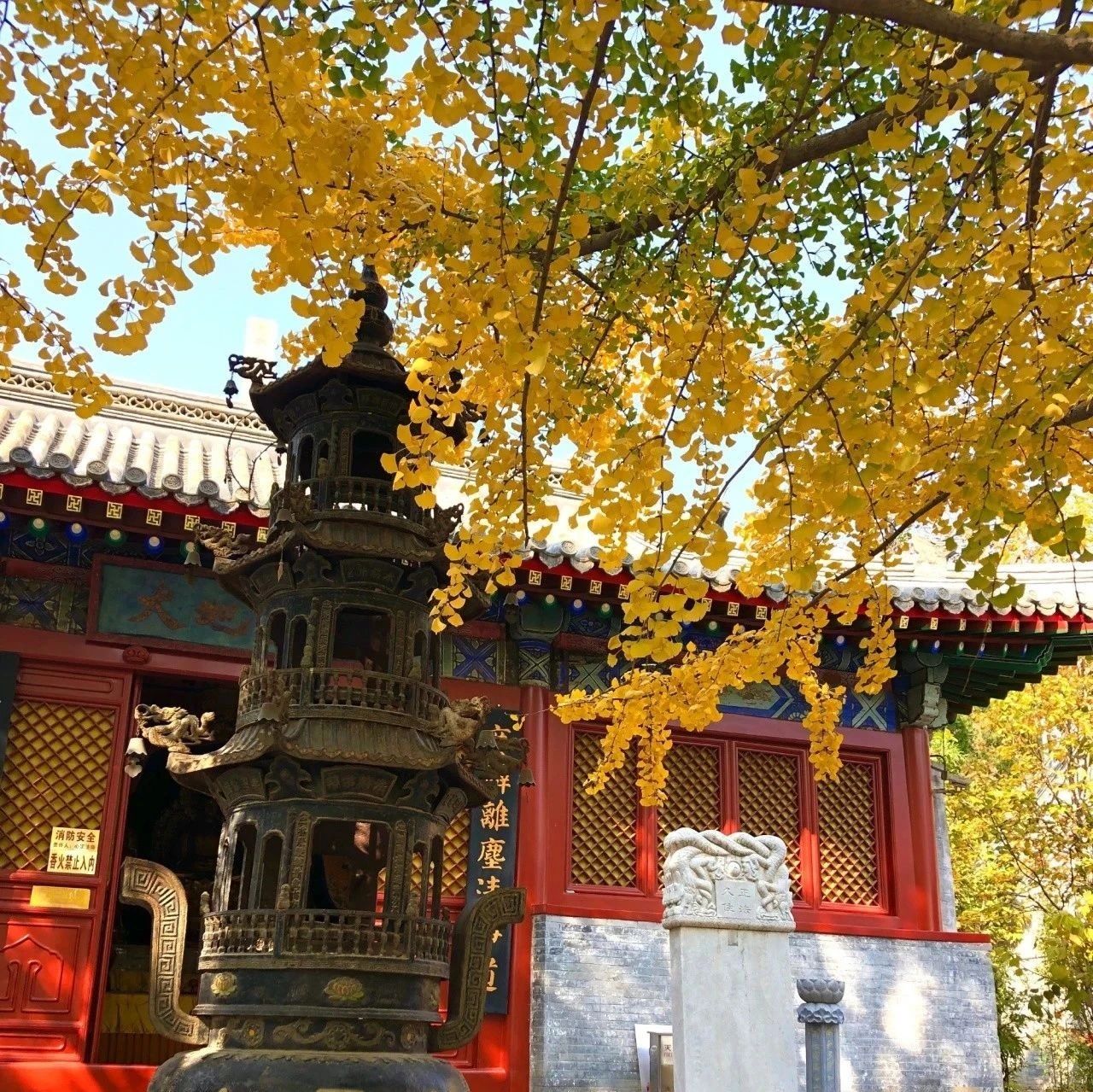 千年古刹潭柘寺，山水相依北宫园 [周六、周日]