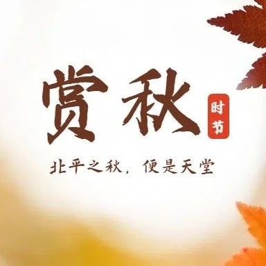 出发晚，不早起！「金海湖步道」11.16/11.17 | 小众绝美徒步栈道の一路湖光山色-金海湖环湖休闲徒步（适合新人）