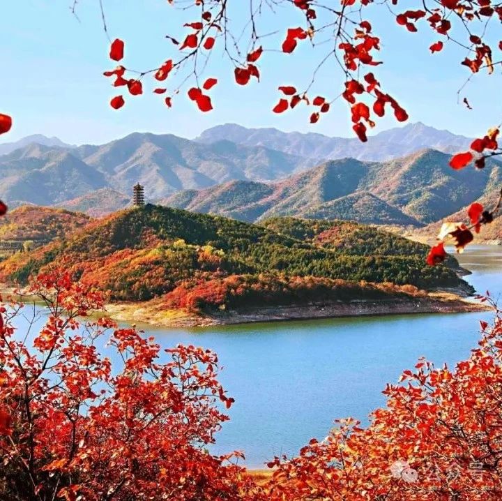 金海湖！步道+沿湖8km休闲徒步+日落！[周六、周日]