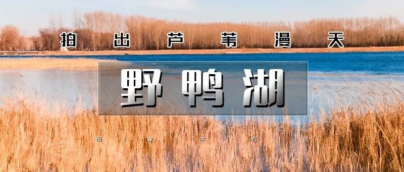 热门活动-「野鸭湖」11.23/11.24 | 网红打卡拍出芦苇漫天の北京城郊藏着的大西北-永宁古城-柳沟豆腐宴