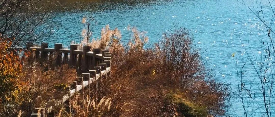 初级适度 |  11.30 周六 |  徒步长峪城，品尝猪蹄宴