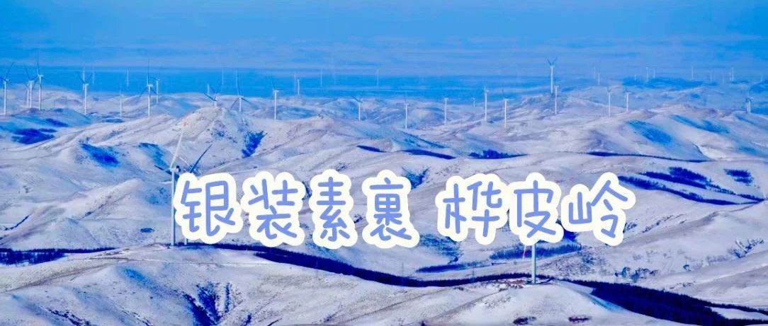 银装素裹 千里冰封 万里雪飘 桦皮岭 12.1日