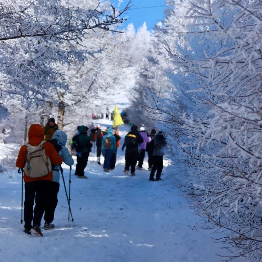入门休闲 | 12.21 周六 | 桦皮岭9km徒步玩雪