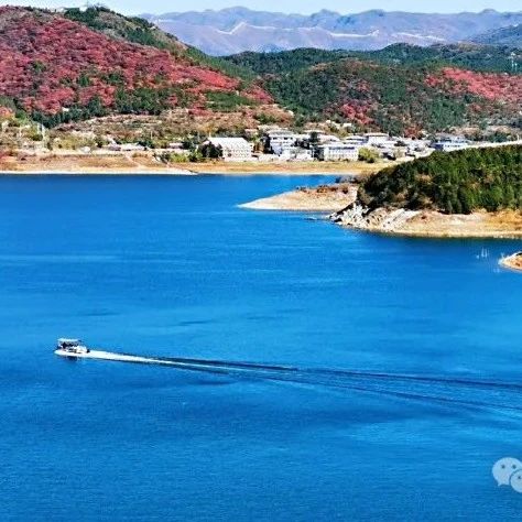 金海湖！步道+沿湖8km休闲徒步+日落！[周六、周日]