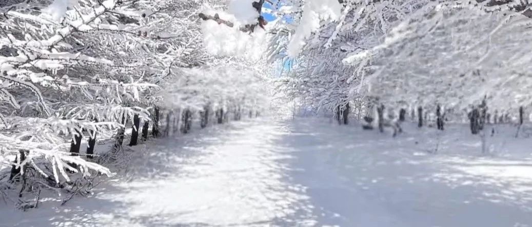 桦皮岭玩雪 赏雾凇 拍人生照片@南方小土豆 银装素裹 千里冰封 万里雪飘