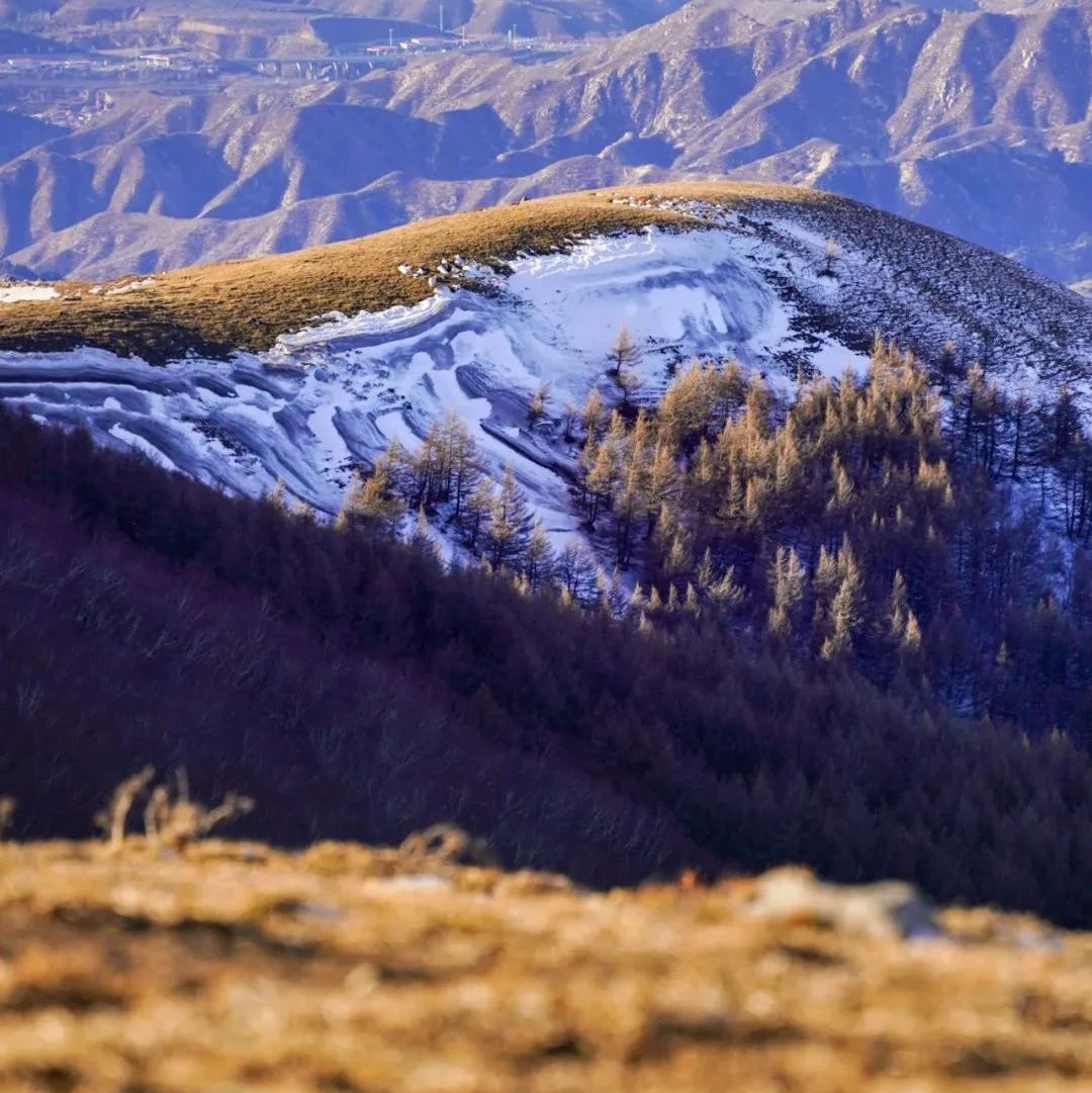 热门活动-初级适度 | 2.9 周日 | 登顶东灵山，踏雪破寒辞旧岁