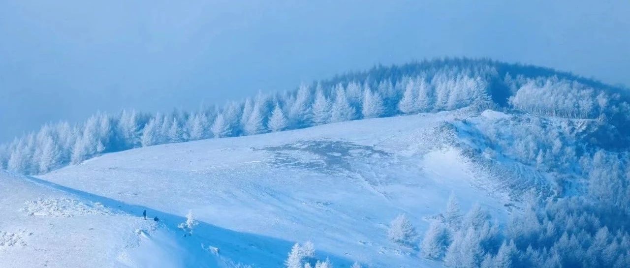 初级适度 | 2.15 周六 | 登顶北京之巅，东灵山徒步