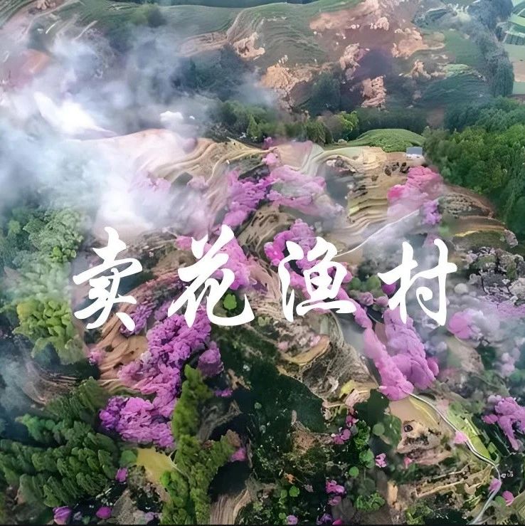 卖花渔村徒步线-天空之城木梨硔-祖源村徒步 徽州深山里的梅花仙境 火车团