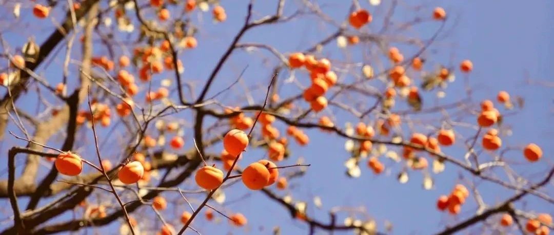 初级适度 | 2.22 周六 | 蚕姑坨观天门洞奇观