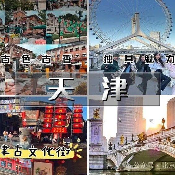 「天津海鸥」3.1/3.2 | 西伯利亚海鸥来袭-滨海看海鸥-打卡古文化街-意式风情区-五大道