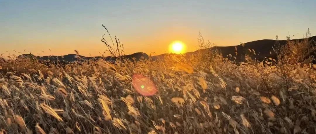 初级适度 | 3.9 周日 |  翠屏湖徒步 欣赏湖光美景