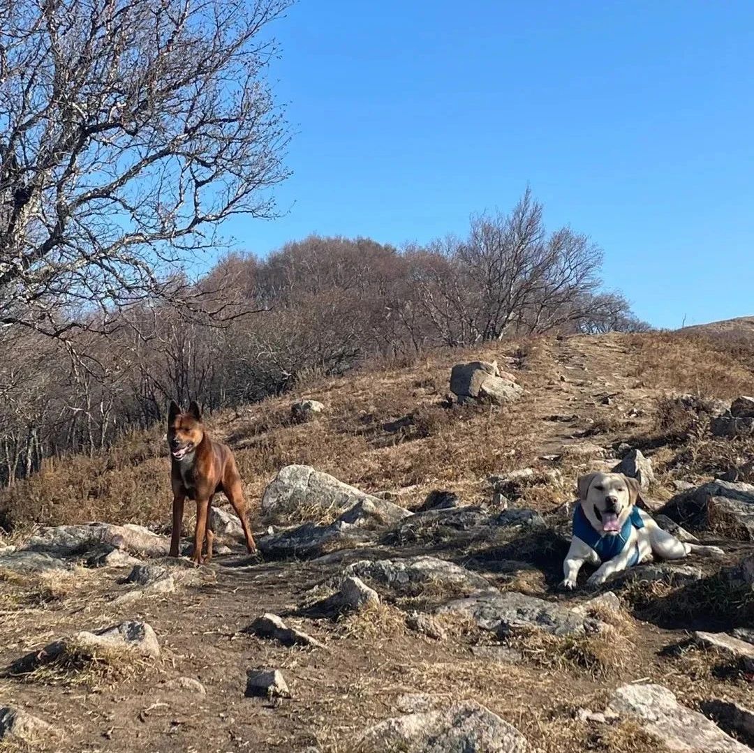 初级适度 | 3.8 周六丨南大梁-沿河城