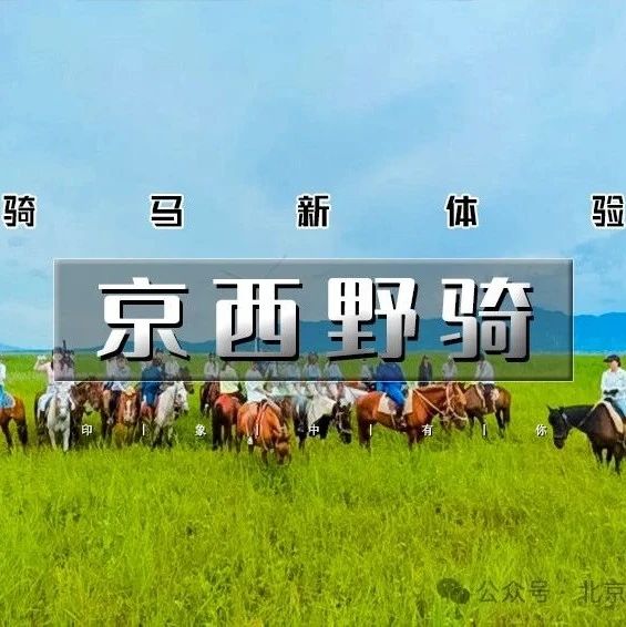「京西草原骑马」3.8/3.9 | 骏马疾驰の京西草原20公里野骑路线（新手友好·老手爽骑）