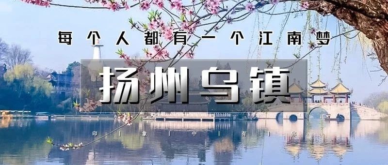 热门活动-「清明节下江南•扬州乌镇」4.3晚~4.6 | 烟花三月下扬州の兴化油菜花-扬州-瘦西湖-何园-乌镇