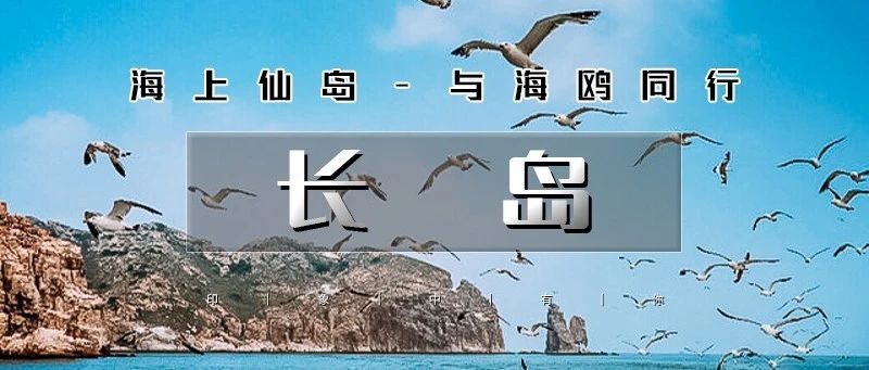 「清明节长岛」4.3晚~4.6 | 海上仙山长岛の蓬莱-长岛-庙岛-万鸟岛-月亮湾-与海鸥为伴