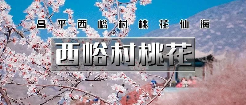 正在盛开！网红西峪村桃花-徒步桃花栈道-赏漫山桃花（可休闲拍照）