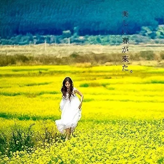 「婺源油菜花」3.22~3.23 | 中国最美乡村の赏江岭梯田油菜花-品徽州古村浓郁文化｜《老家婺源》火车行