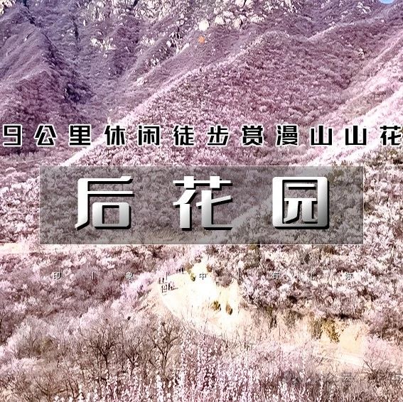 「后花园」3.22/3.23 | 漫山芬香北京后花园の燕平八景-神岭千峰-虎峪辉金9公里徒步赏山花