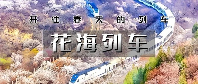 热门活动-「花海列车」3.22/3.23 | 开往春天的列车の枝花正盛-春光正好-长城内外-分外妖娆-居庸关长城