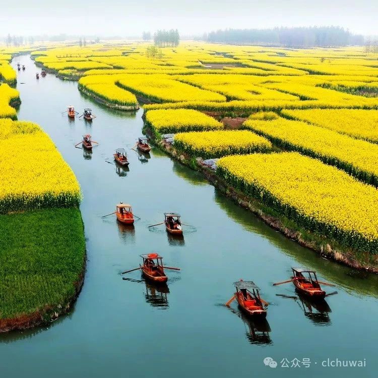 烟花三月下扬州！千岛花海+扬州瘦西湖 [3.22-3.23]