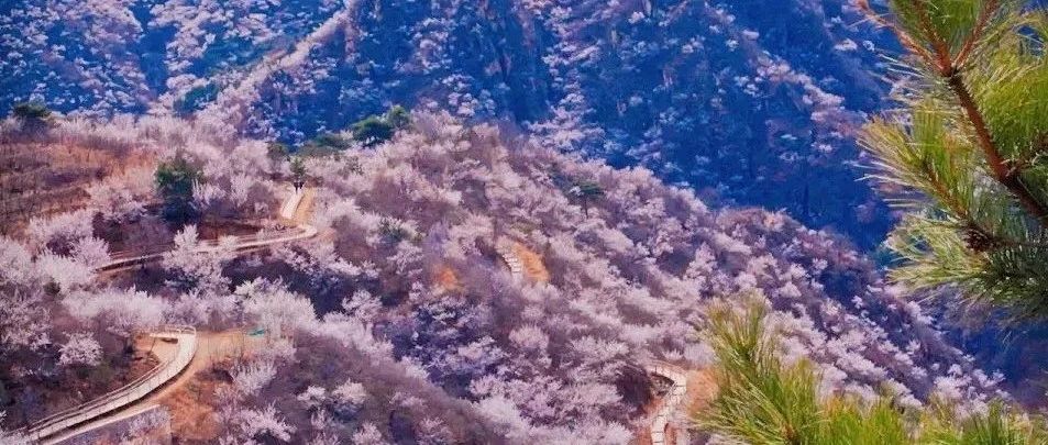 初级适度 | 3.30 周日 | 银山塔林 桃花谷徒步