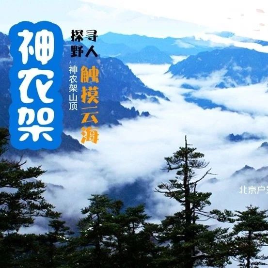 热门活动-五一神农架｜探神秘人文-访三峡人家 鄂西经典深度游 火车4天