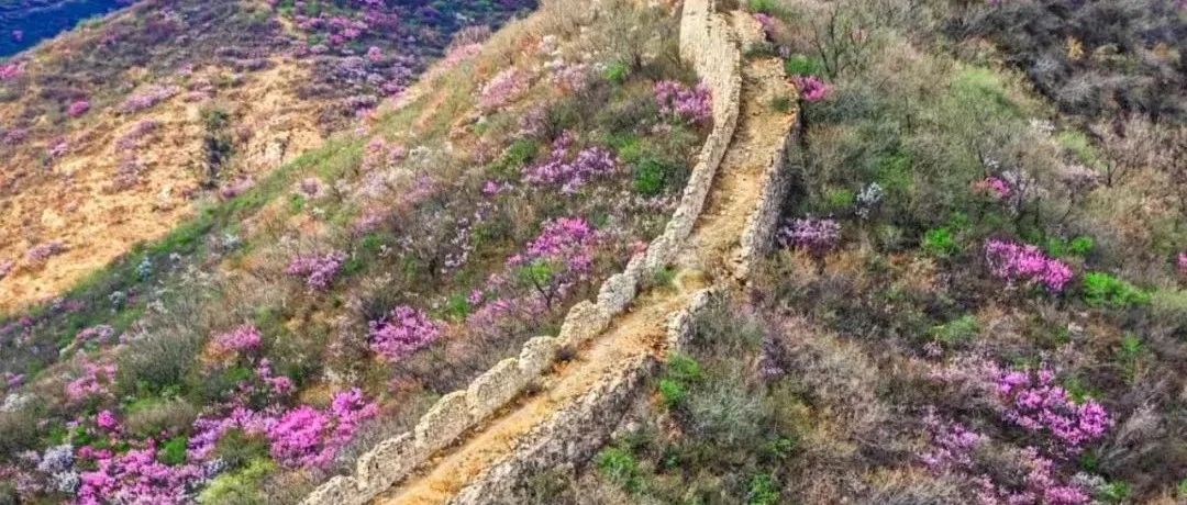 中级挑战 | 4.12 周六 | 镇边城~样边城