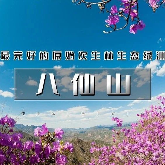 「八仙山」4.19 | 尘封六年首次开放の八仙山登顶大会-勇攀津门之巅!