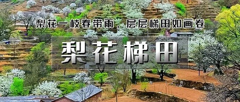 「梨花梯田」4.19/4.20 | 世外桃源茅舍疏篱の谷雨时节赏大山深处梨花村-休闲户外徒步赏花