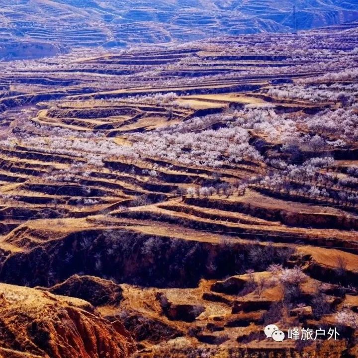 入门休闲 | 4.19 周六 | 近京小陕北.定方水乡杏花梯田