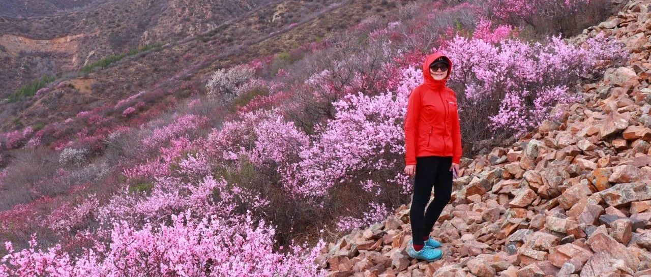 初级适度 | 4.19 周六 | 青边口外胭脂海 榆叶梅潮淹隘口