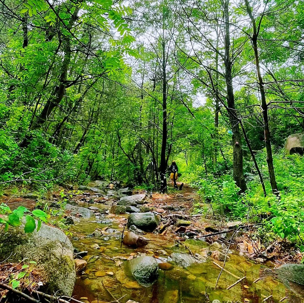 热门活动-莲花滩休闲徒步！森林溪水~山野秘境 [周六、周日]