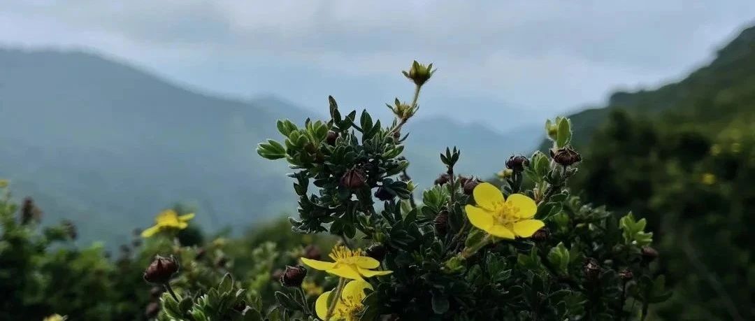 初级适度 | 5.10 周六 | 北灵山