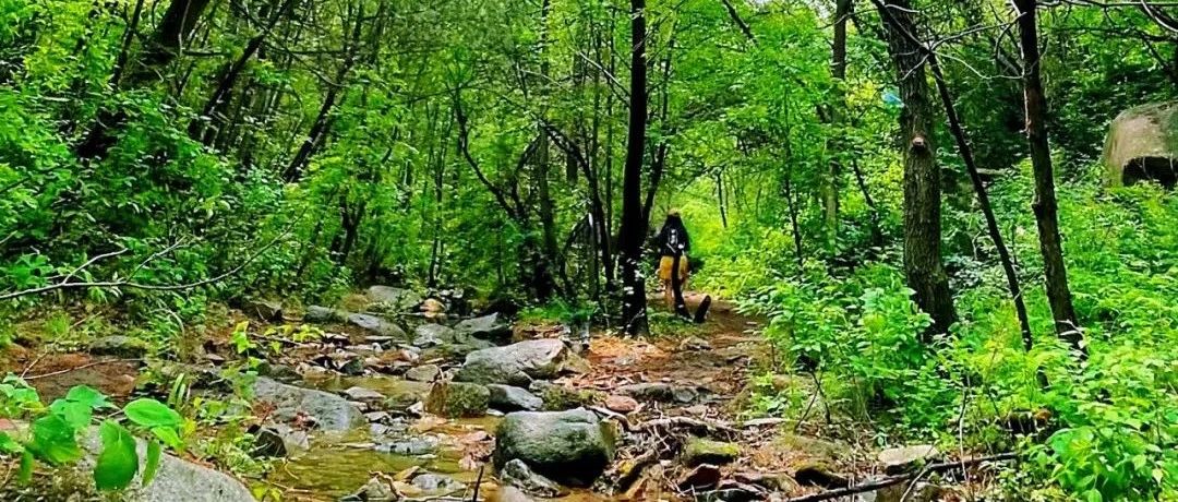 热门活动-莲花滩休闲徒步！森林溪水~山野秘境 [周日]