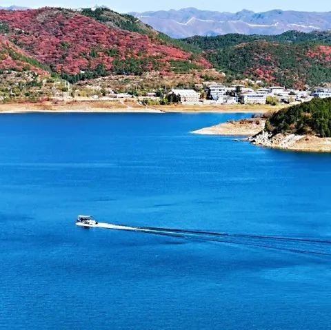 金海湖！步道+沿湖8km休闲徒步+日落！[周日]