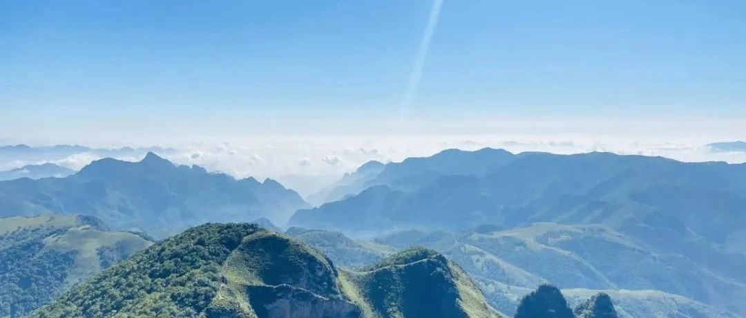 热门活动-初级适度 | 5.25周日 | 黄草梁高山草甸穿越，拥抱盛夏的绿色