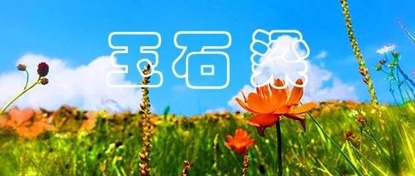 玉石梁 五星高山草甸 风车阵 长城 北方风光天花板