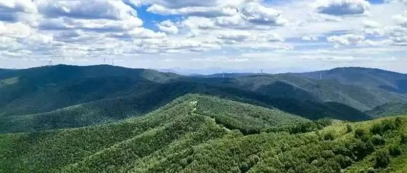 热门活动-初级进阶 | 6.21周六 | 汗海梁~卧牛盘 高山草甸避暑纳凉