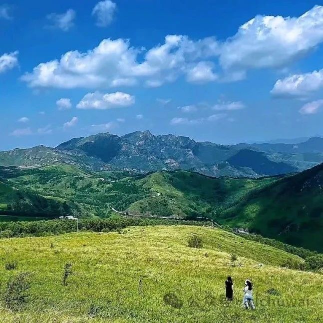 东灵山徒步！凉爽高山草甸，超美！[周六]