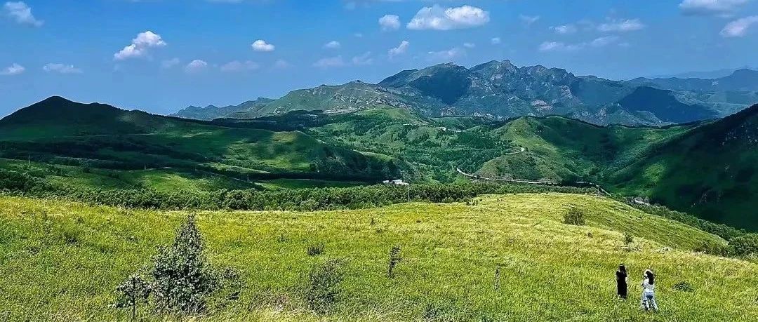 东灵山徒步！凉爽高山草甸，超美！[周六、周日]