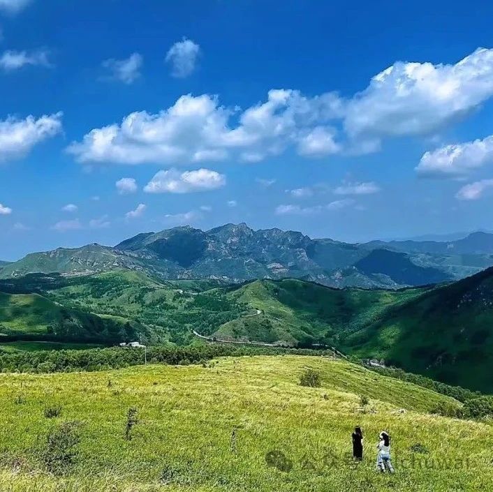 热门活动-东灵山徒步！凉爽高山草甸，超美！[周六、周日]