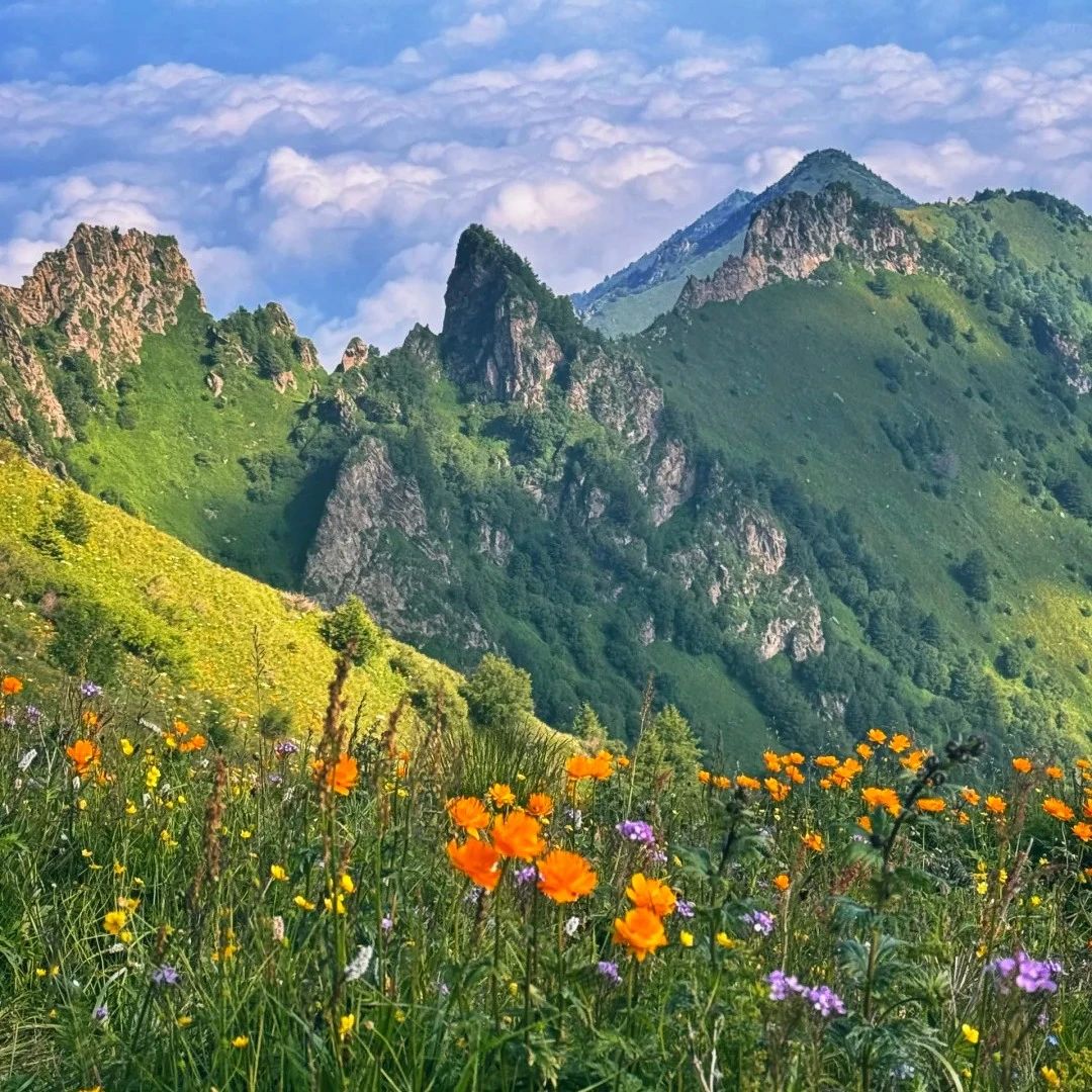 热门活动-蔚县那座山•勇攀巅峰｜徒步经典户外圣地-登顶华北最高峰之一，寻醉美的金莲花