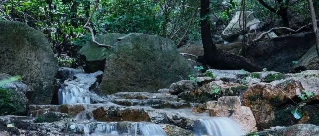 热门活动-入门休闲 | 7.12周六 | 徒步藤萝谷的山川河流 且听鸟语花香