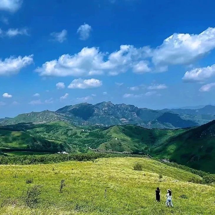 热门活动-东灵山徒步！凉爽高山草甸，超美！[周六、周日]
