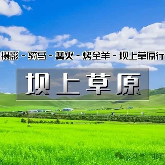 「坝上草原」7.12~7.13 | 坝上正确打开方式の摄影、骑马、篝火、烤全羊、卡拉OK……