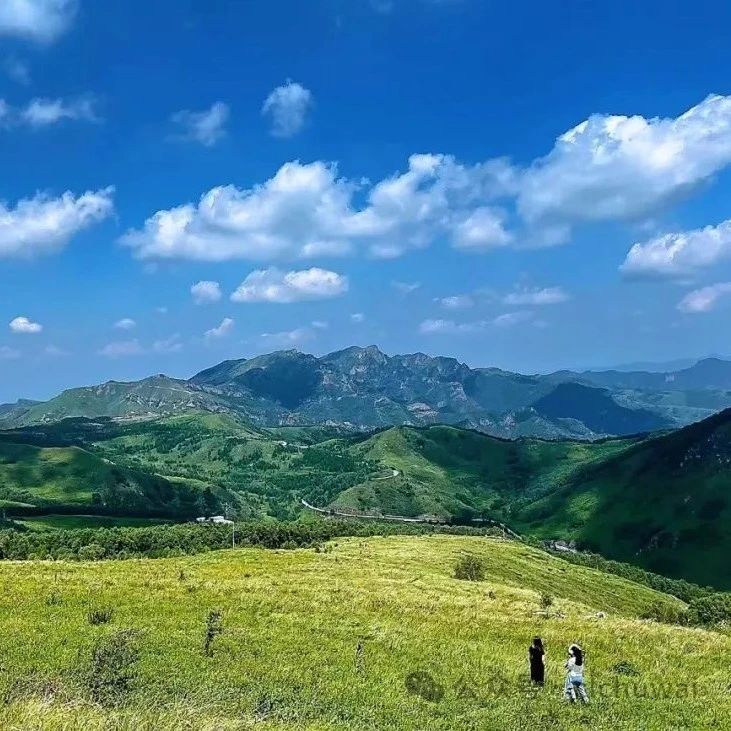东灵山徒步！凉爽高山草甸，超美！[周六、周日]