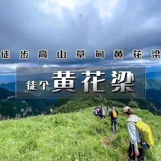 黄花梁｜芳草碧连天高山草甸-黄花梁9公里徒步<初级>